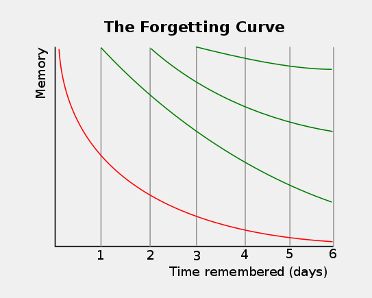 Forgetting Curve Representation